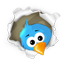 Follow Ryan on Twitter